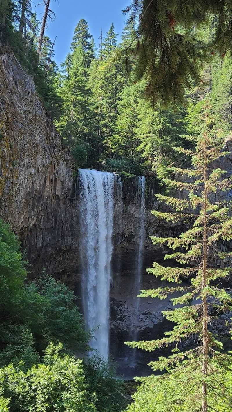 The Trail Itself: A Walk That Feels Like a Gift