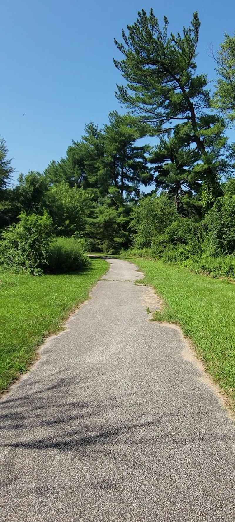 A Former Golf Course Turned Wild Wonderland