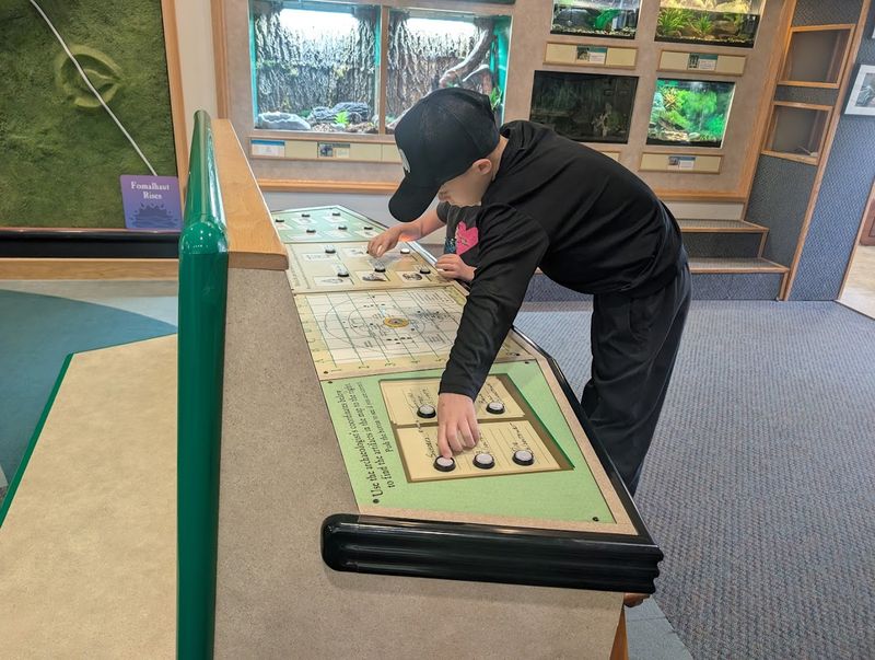 The Great Mound and Its Ancient Ceremonial Roots