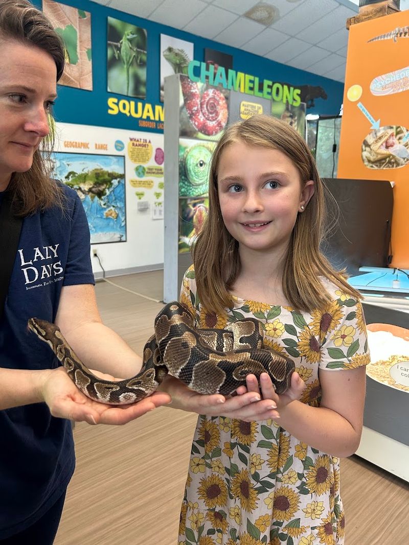 A Museum Born From Pure Passion for Reptile Conservation