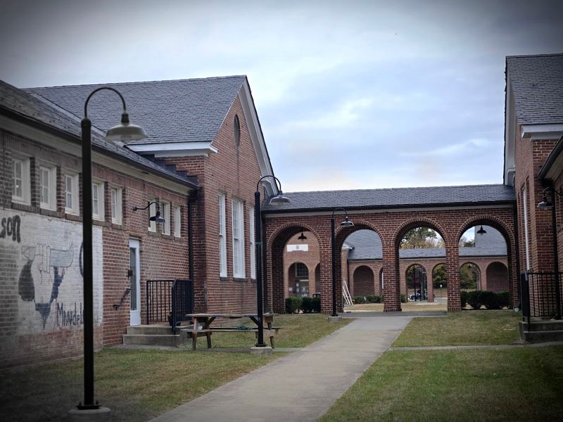 From Cellblocks to Canvas: The Jaw-Dropping Origin Story