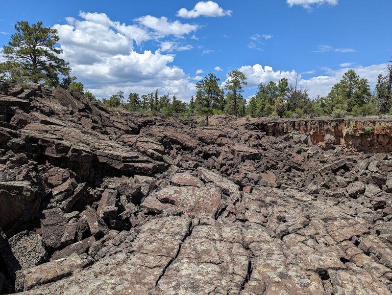 The Lava Fields That Look Like a Frozen Ocean