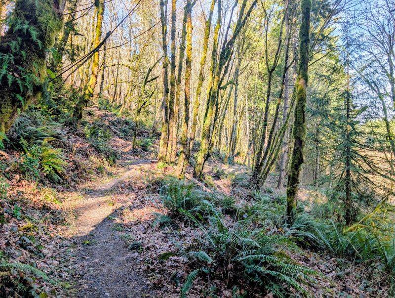 The Trails That Surprise You Every Time