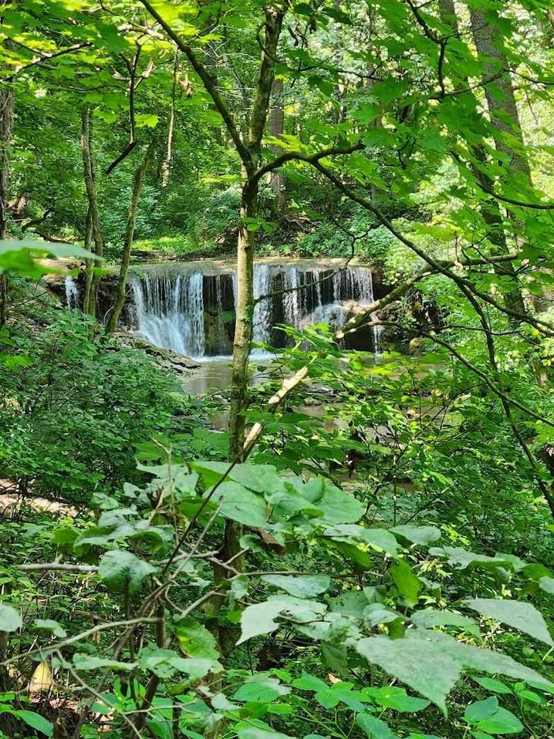 The First Glimpse: Arriving at Folly Mills Falls