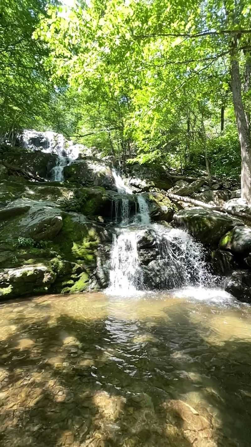 The First Glimpse: Why This Waterfall Stops You Cold