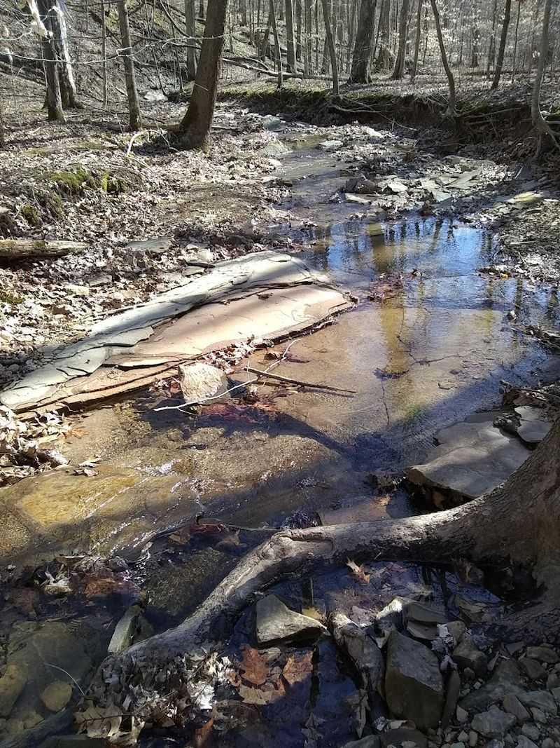 A Hilly Loop That Gives You A Real Workout