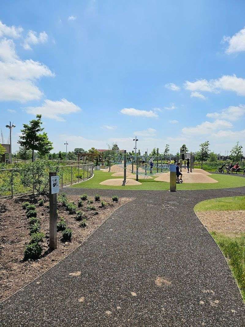 The Playground That Refuses to Be Ignored