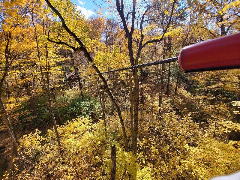 Scenic 300-Foot Canopy Ziplines Through Eagle Creek Forest