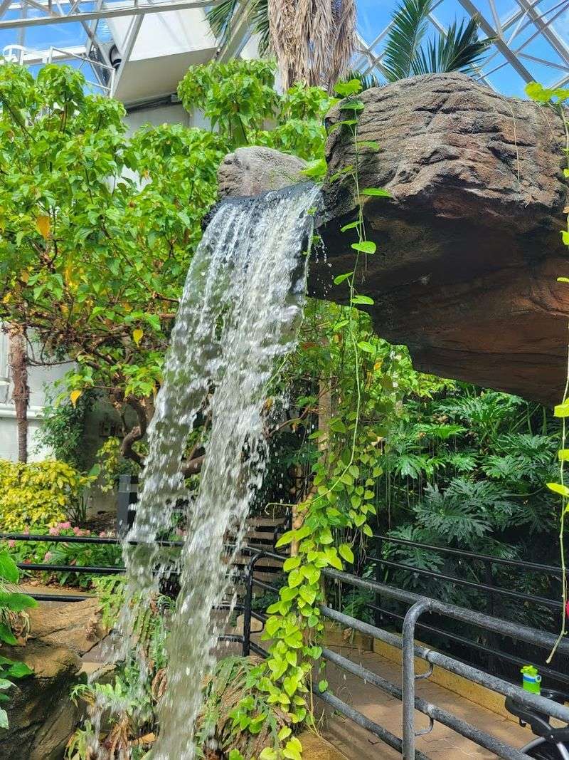 The Tropical House with a Cascading Waterfall