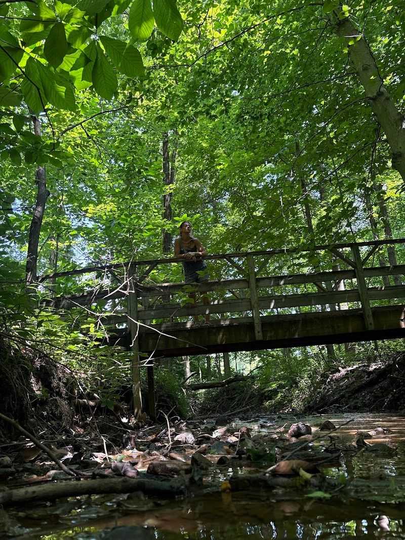 Wetlands and Wooded Ravines That Feel Like a Different World