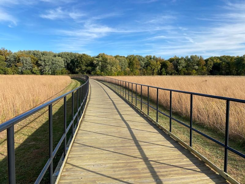 The Scenic Wetland Loop Trail Itself