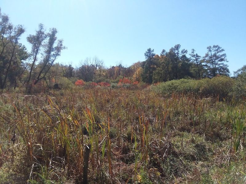 Diverse Habitats That Feel Like a World of Their Own