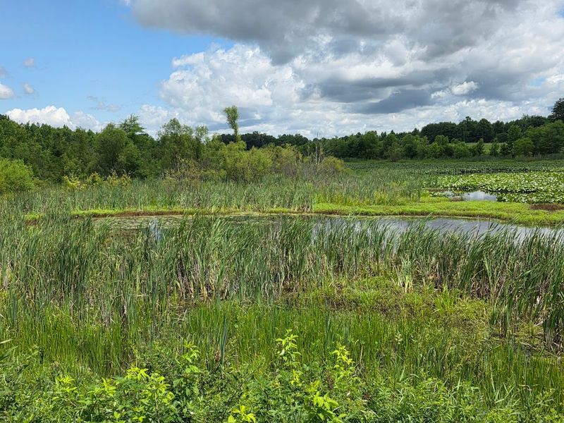 Rich Biodiversity That Will Genuinely Surprise You