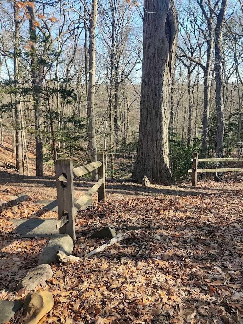 The Storied History Behind a Century-Old Sanctuary