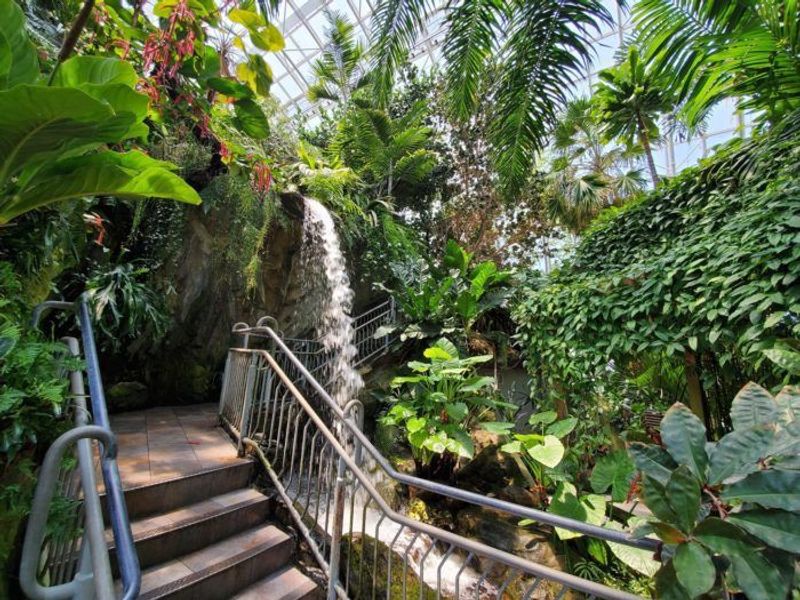 The Crystal Bridge Conservatory Is Unlike Anything You Have Seen Before