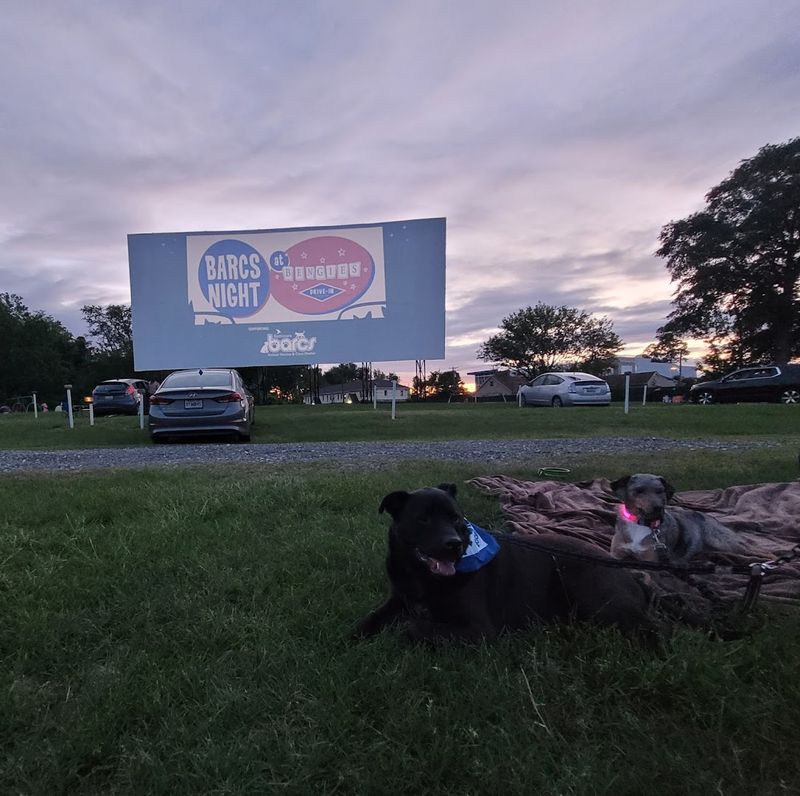 The Only Drive In Left In Maryland