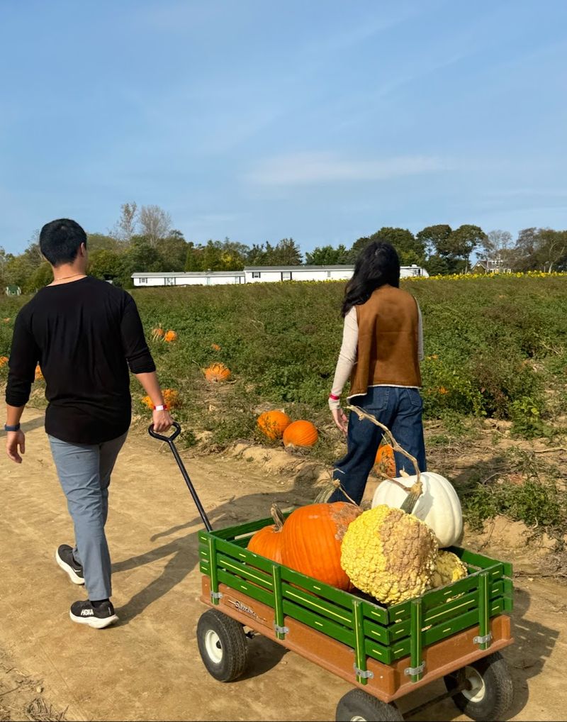 A Family Farm Built For Lingering