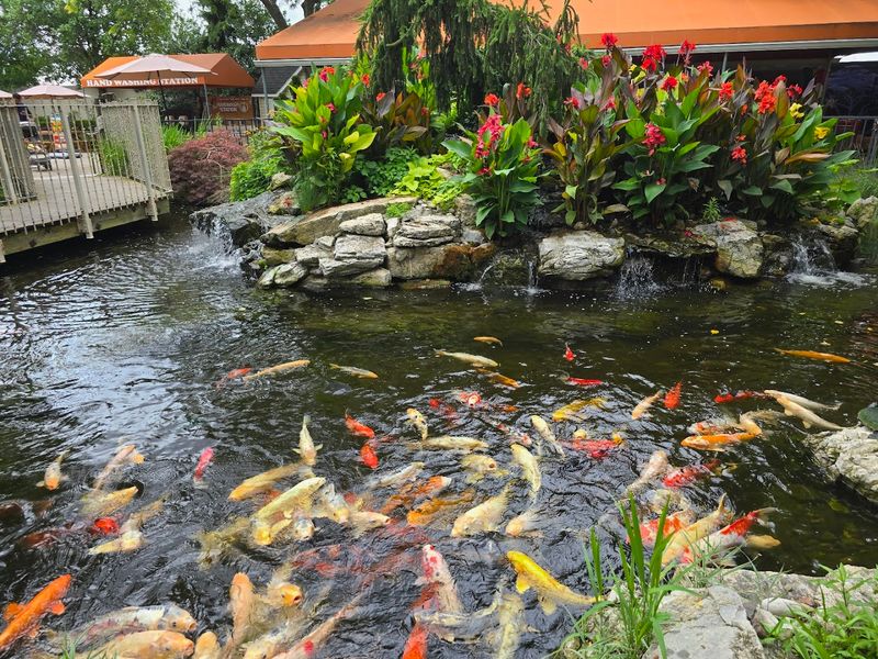 A Long Island Favorite Built For Lingering