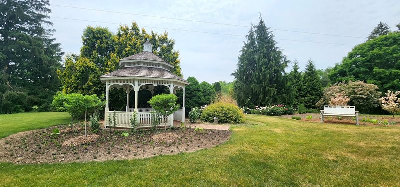 A Park That Transforms Into An Wonderland