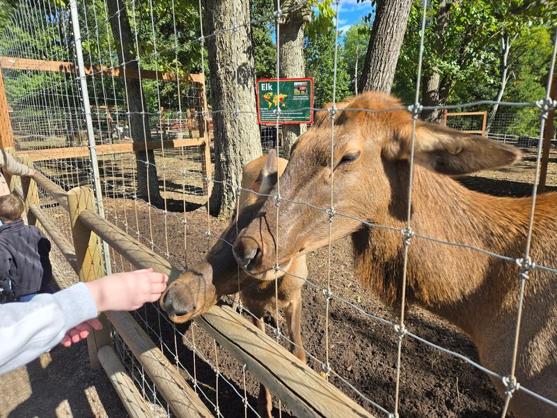 Animal Encounters Give This Farm Its Pull