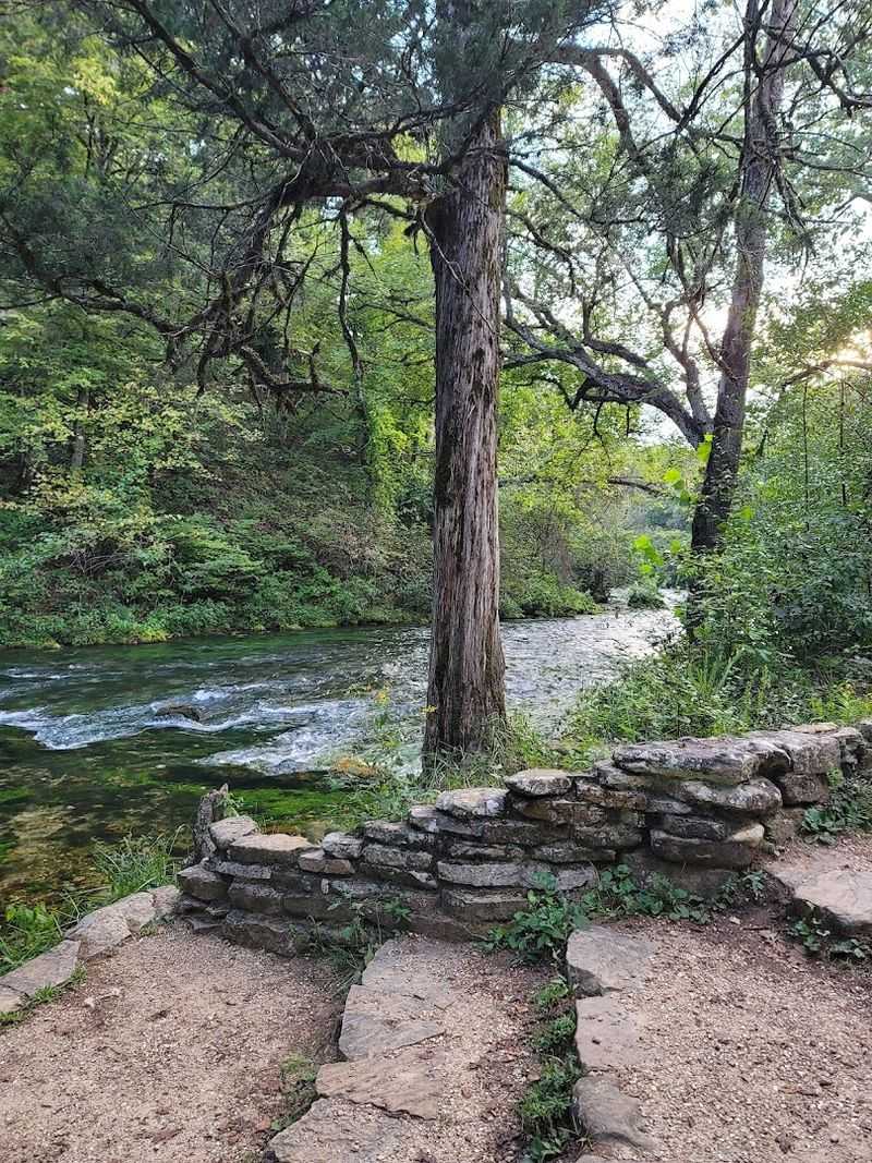 The Drive to Blue Spring Is an Adventure Before the Adventure