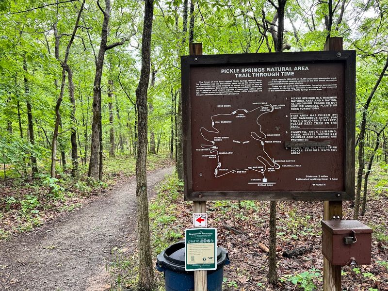 The Trail Through Time Loop Explained