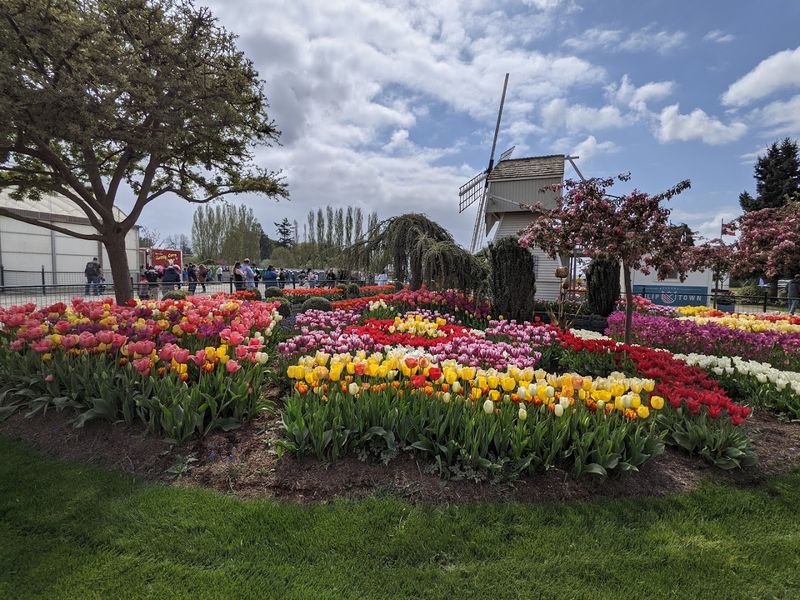 The Photo Ops Keep Cameras Busy All Day