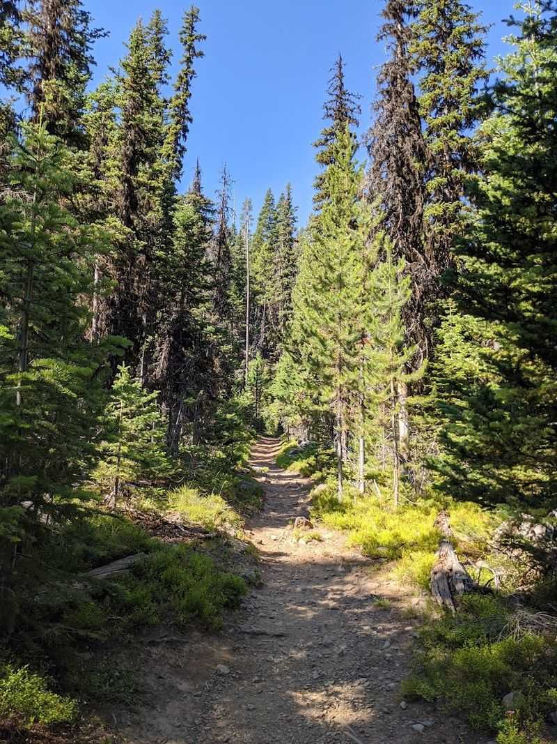 The Trailhead at Strawberry Campground
