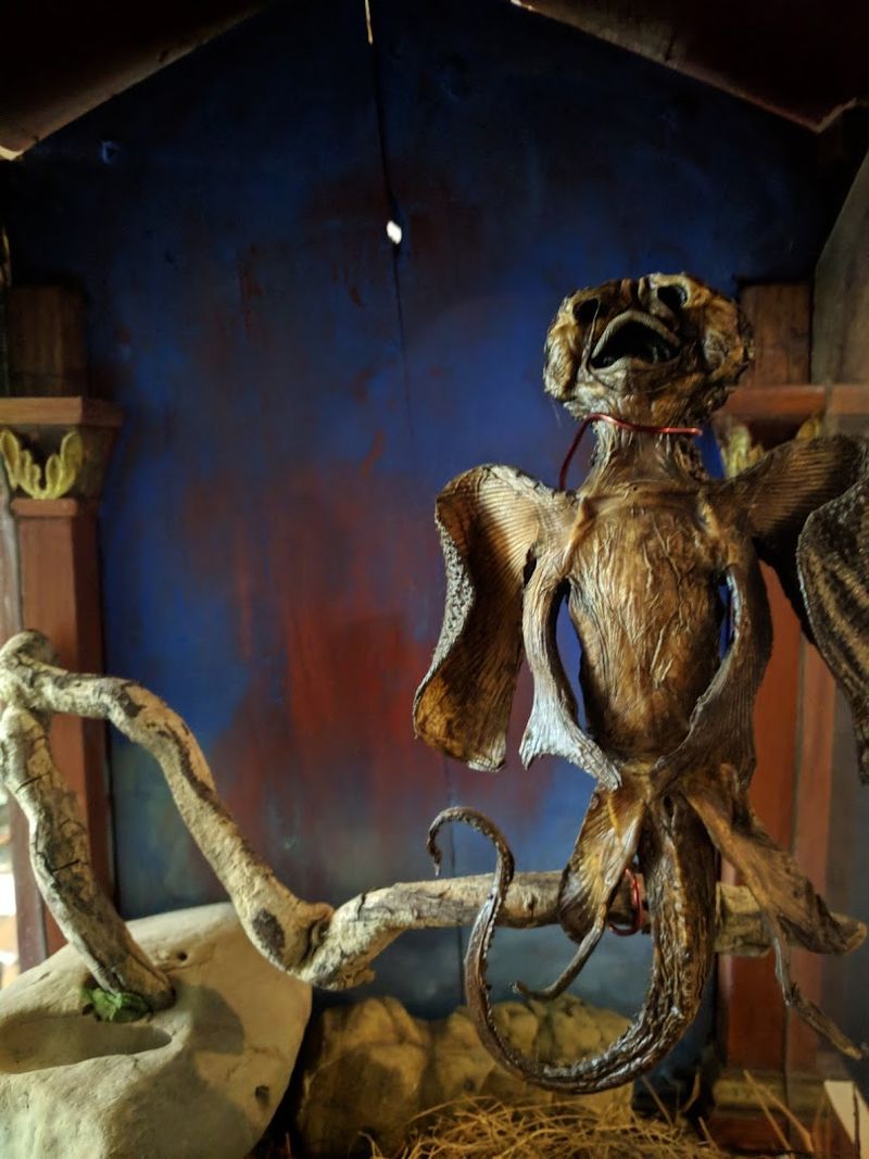 What Exactly Is the Zymoglyphic Museum?