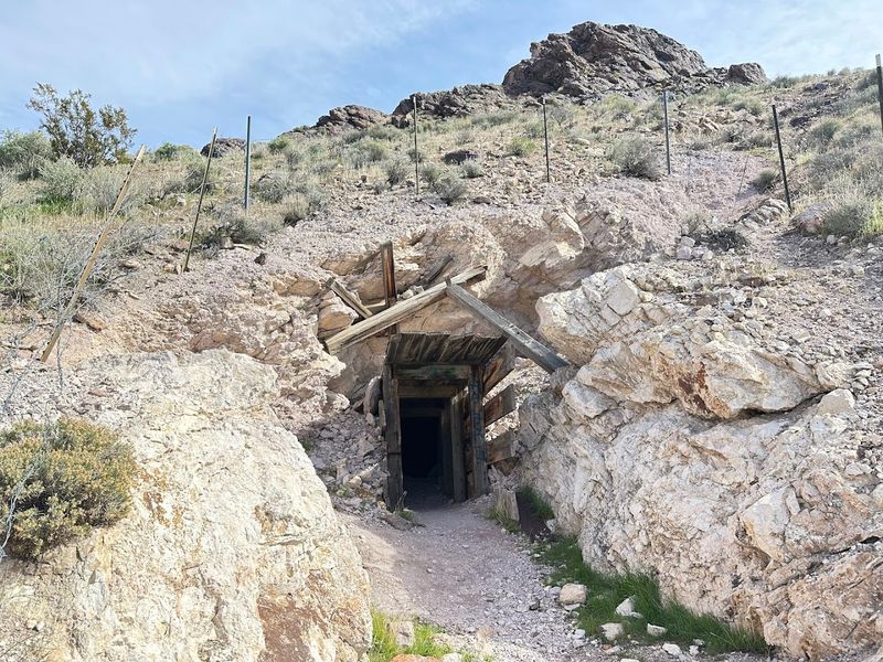 Prospectors Struck Gold In The Bullfrog Hills In 1904