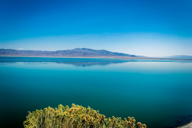 A Terminal Desert Lake In Trouble