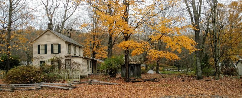 A Population So Small It Barely Registers