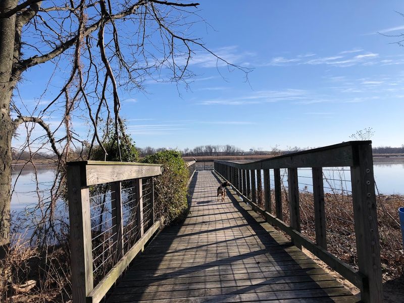 The Boardwalk Trail Through the Marsh