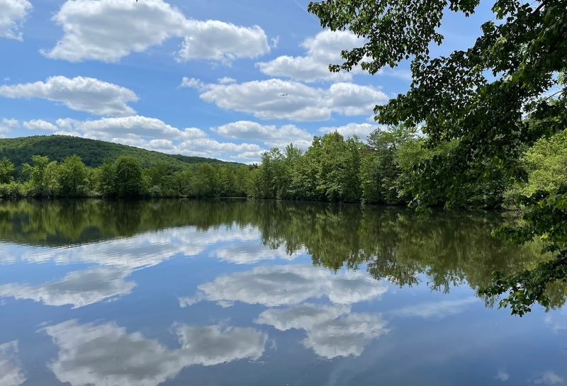 The Preserve Shoreline Loop Trail That Wraps The Whole Reservoir