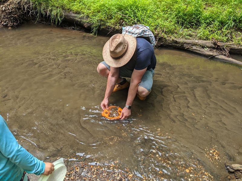 What Makes Poricy Park Fossil Beds So Special