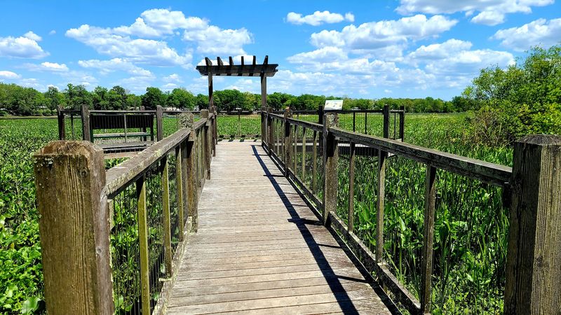 The Bird Blinds That Change Everything