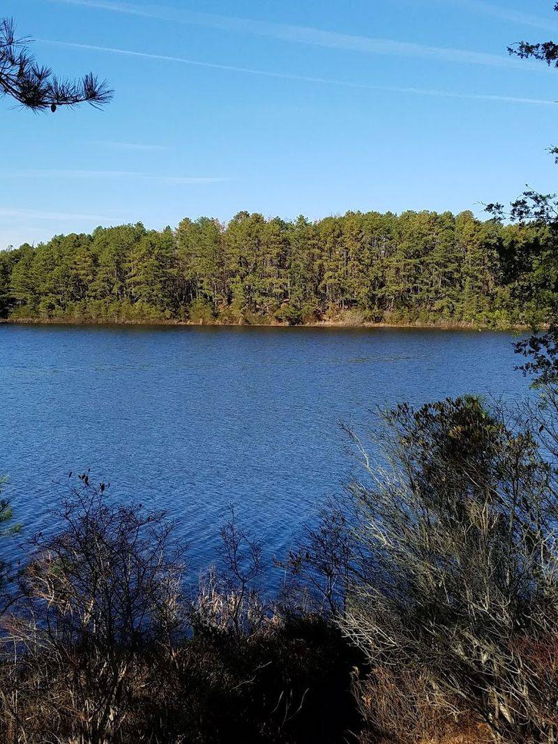 The Four Ponds That Make This Place Feel Like a Hidden World