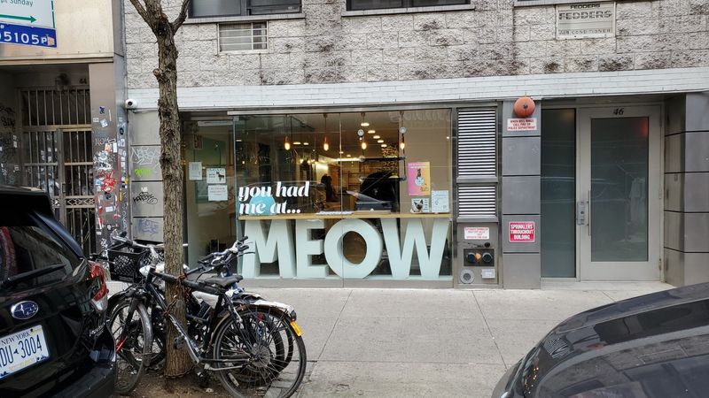The Giant Meow Letters Visible From The Sidewalk