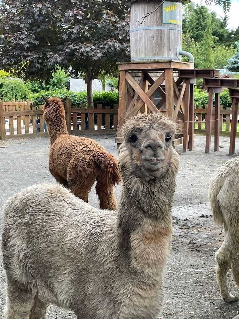 Animal Encounters Give This Place Its Pull