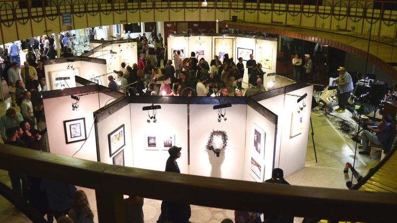 A Non-Profit With a Real Mission