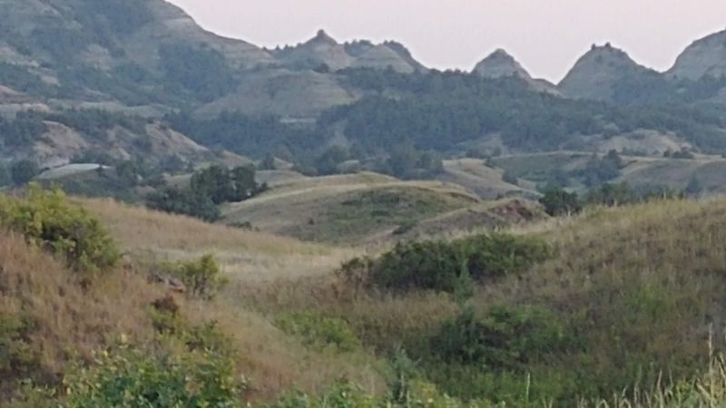 The Lightning Strike That Started It All