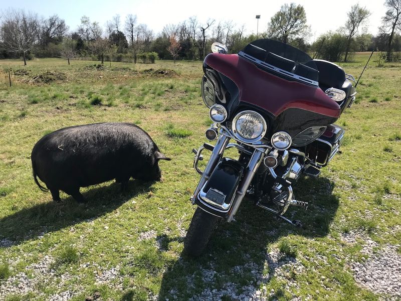 The Setting Stops You Cold