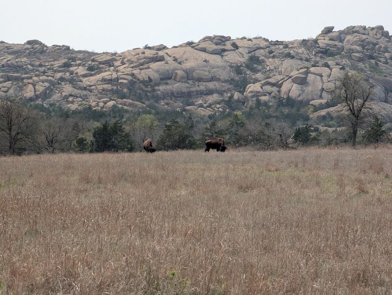 The Wichita Mountains Setting