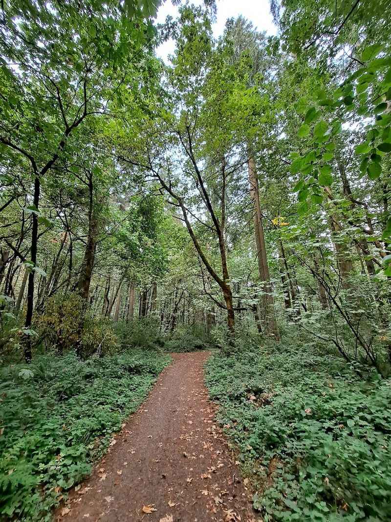 The Setting That Makes Everything Scarier