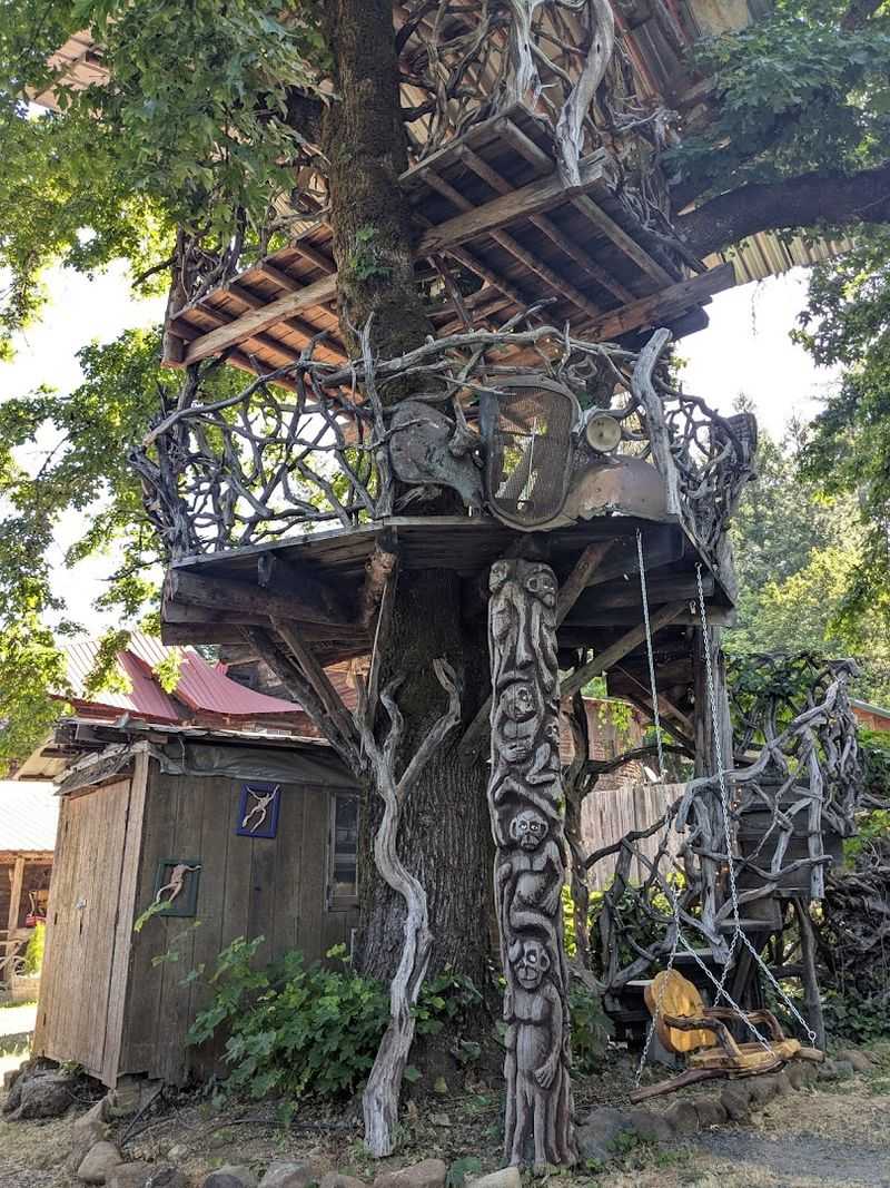 What Exactly Is a Burl and Why Does It Matter