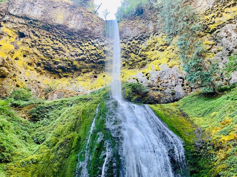 Falls Creek Falls: The Star of the Show Falls Creek Falls: The Star of the Show