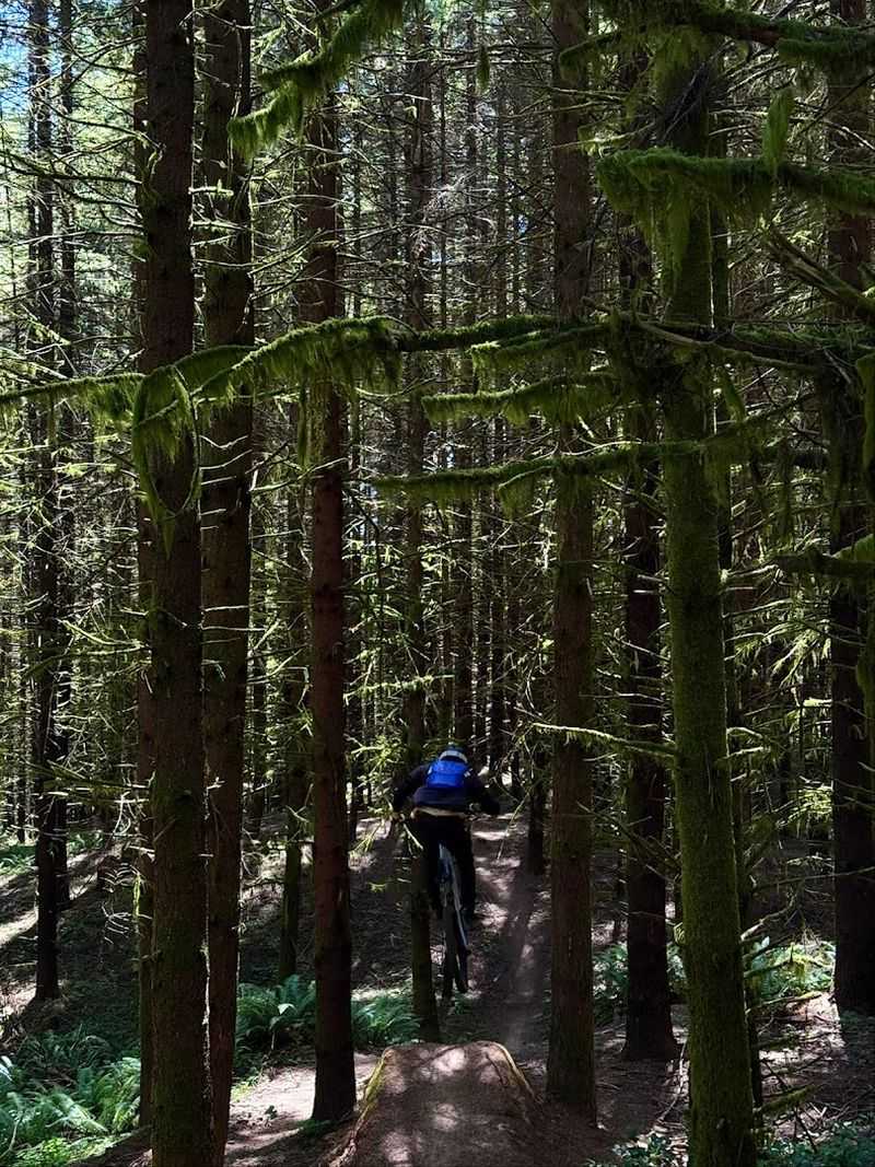 40 Miles of Trail That Never Gets Old