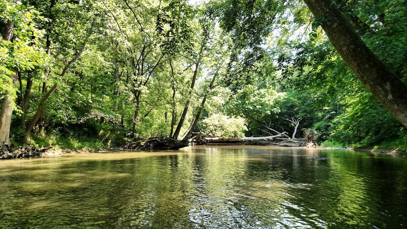 Cedar Creek's State-Designated Scenic River