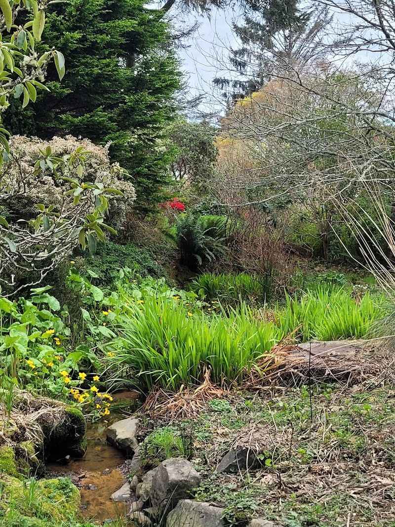 A Hidden Gem Right in the Heart of Lincoln City