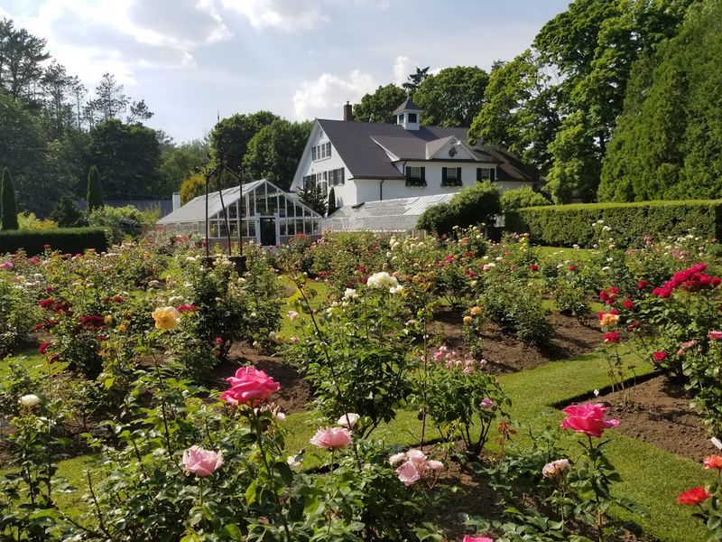 A Garden With a Story Worth Knowing